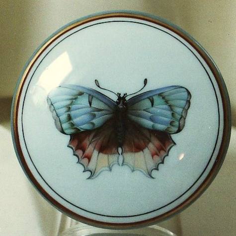 Deckeldose mit Schmetterling, Federzeichnung, 9-cm